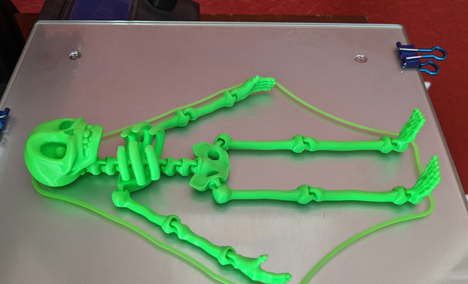 Super Cute Flexi Skeleton
