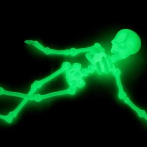 Super Cute Flexi Skeleton - Image 4
