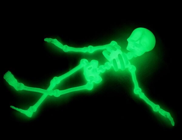 Super Cute Flexi Skeleton