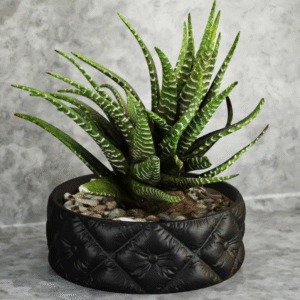 Quilted Planter - Image 3