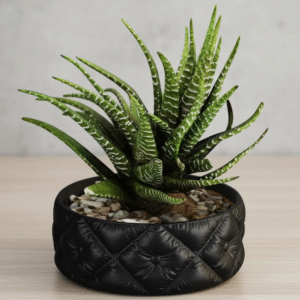 Quilted Planter - Image 1