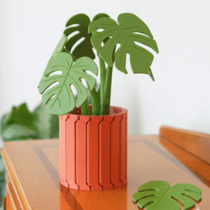 Monstera Coaster Set - Image 5