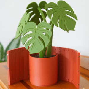 Monstera Coaster Set - Image 3