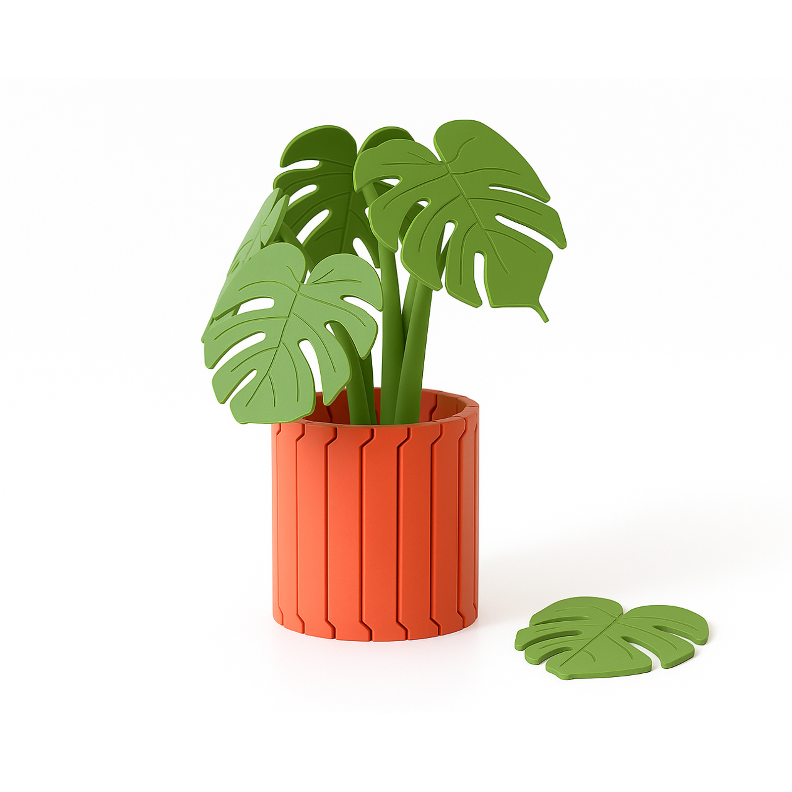 Monstera Coaster Set