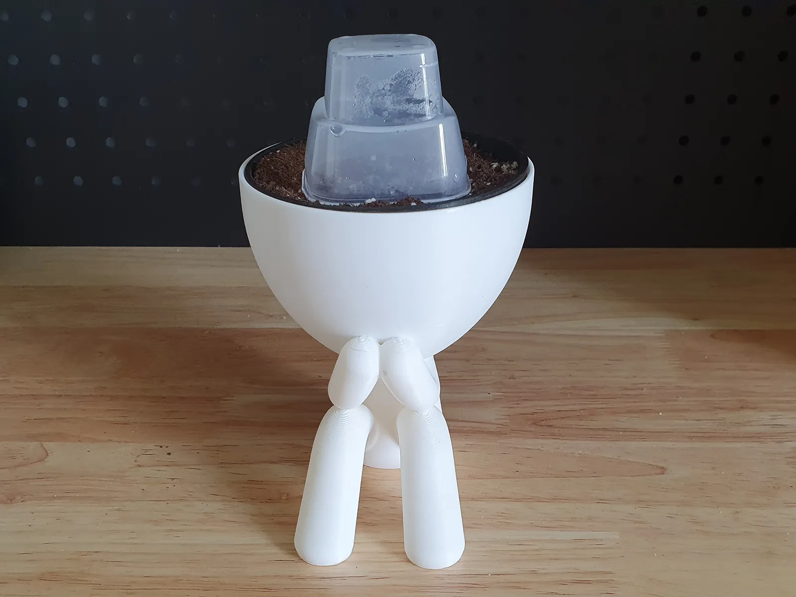 Self-Watering, Philosophical Design Planters - Image 4