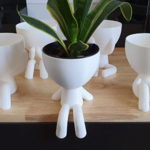 "Speak No Evil" Philosophical Planter - Image 4