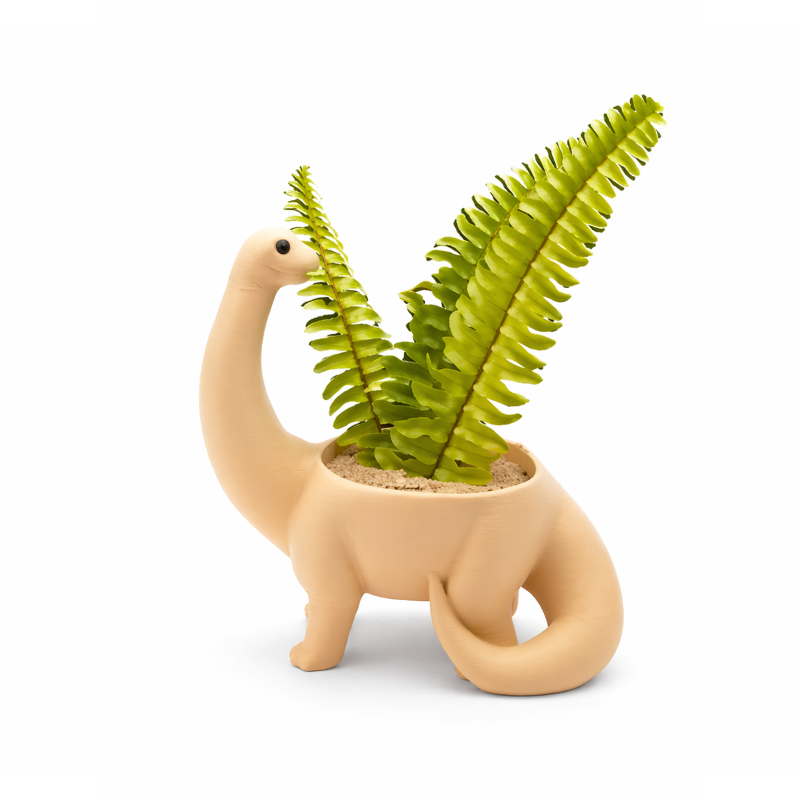 Plantosaurus