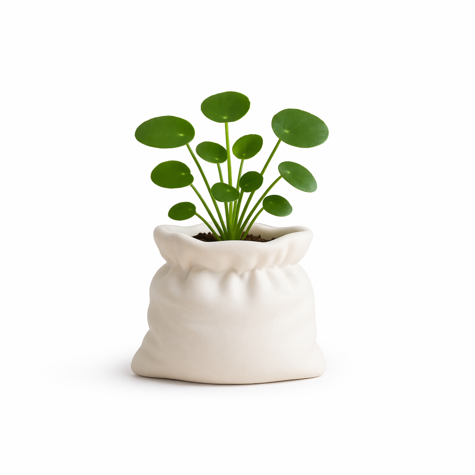 Sac Planter