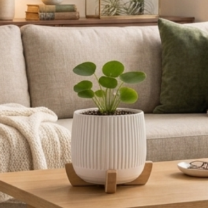 Modern Planter with Wood Base - Ribbed - Image 2