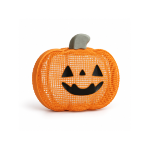 Pumpkin Mesh Treat Box - Image 1